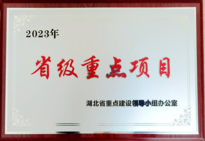 省级重点项目--江南（中国）汽车及新能源汽车高强韧性铝合金底盘轻量化项目(二期)